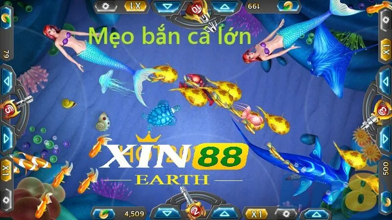 Hack Bắn Cá Là Gì Và Cách Chơi Bắn Cá Tại Xin88 2025 3 Hack bắn cá hiệu quả là nắm rõ luật trước khi tham gia